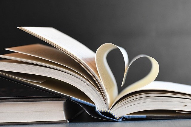 menage-de-printemps-livre